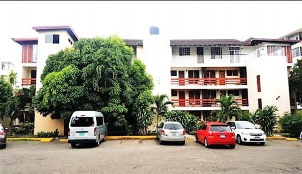 The Mango Lodge Kingston Ngoại thất bức ảnh