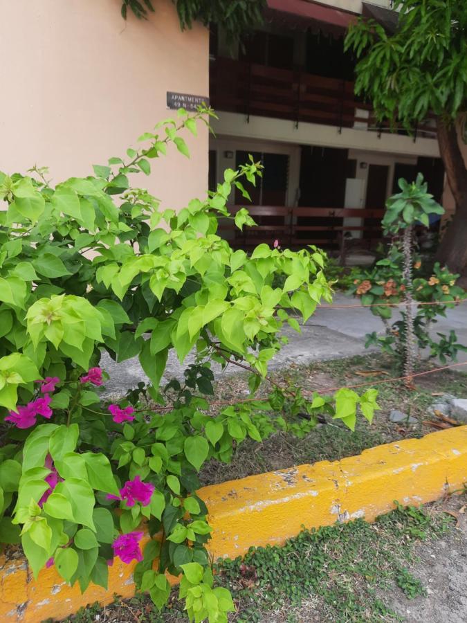 The Mango Lodge Kingston Ngoại thất bức ảnh