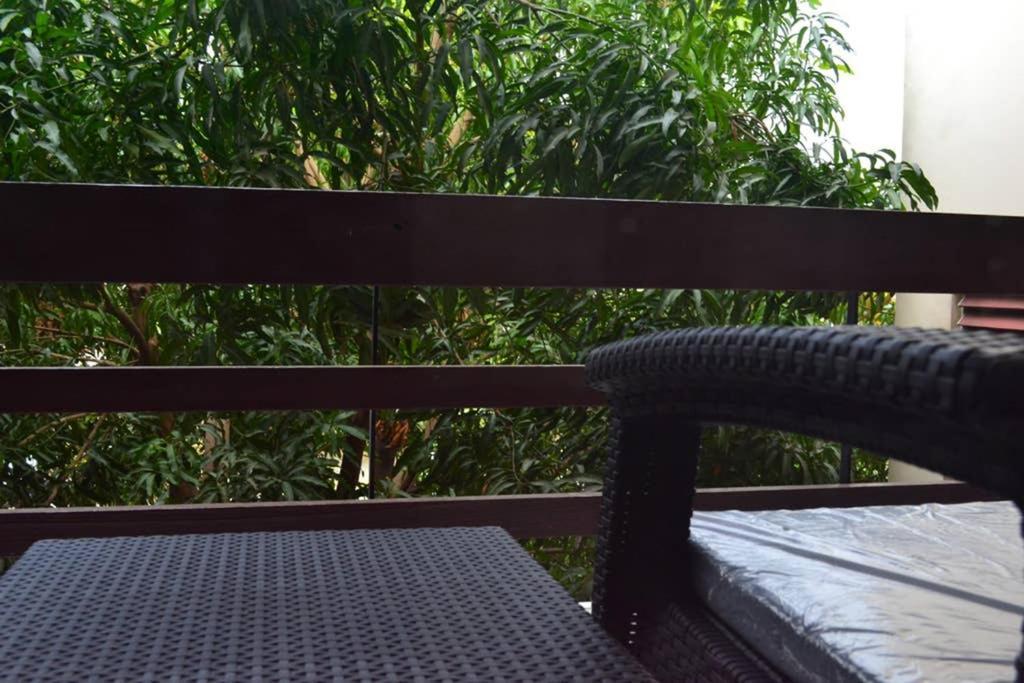 The Mango Lodge Kingston Ngoại thất bức ảnh